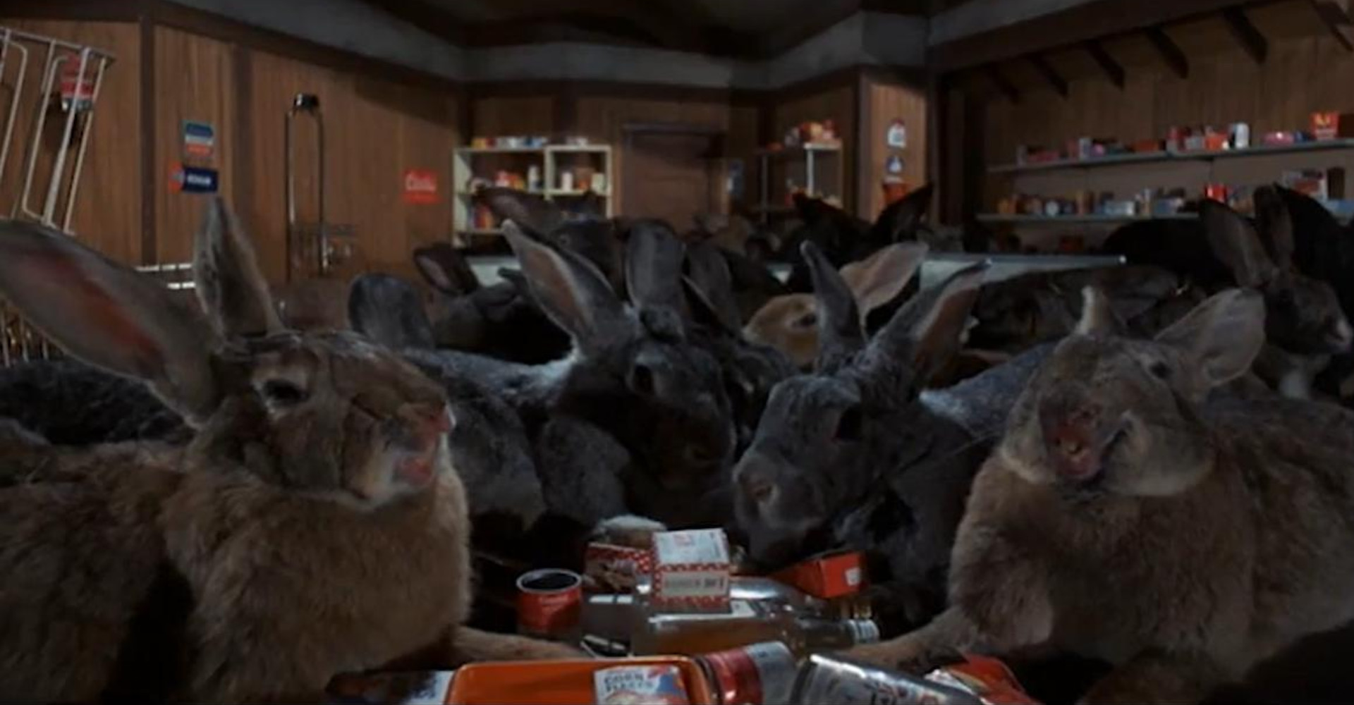 a collection of giant bunnies eating at a table